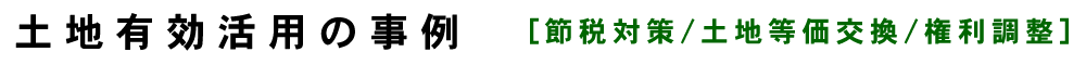ynLp̎